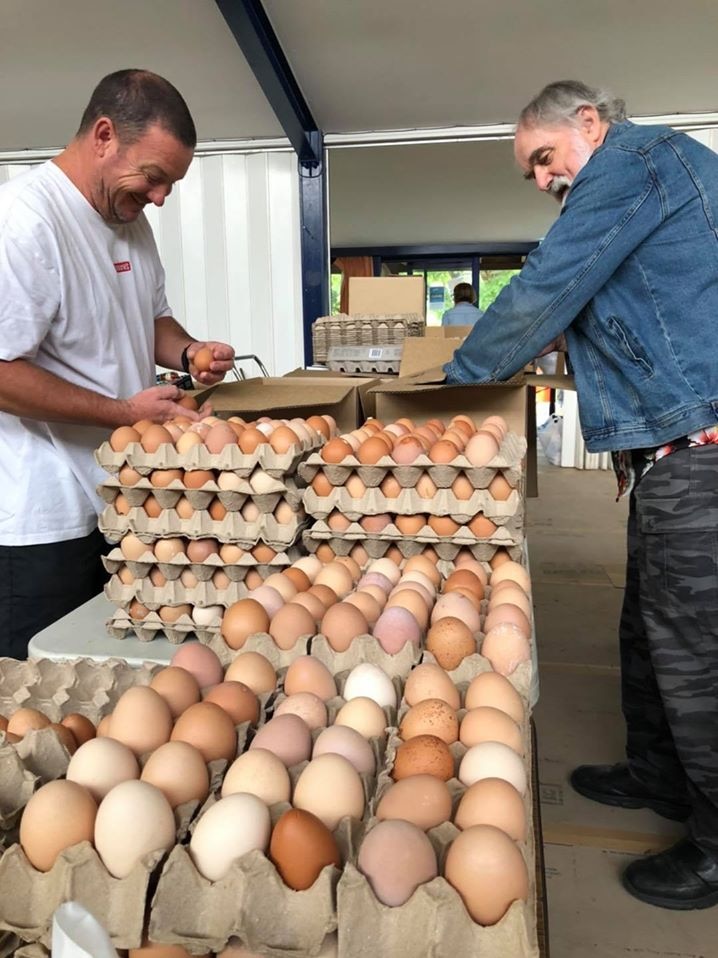 Men unpack eggs from boxes