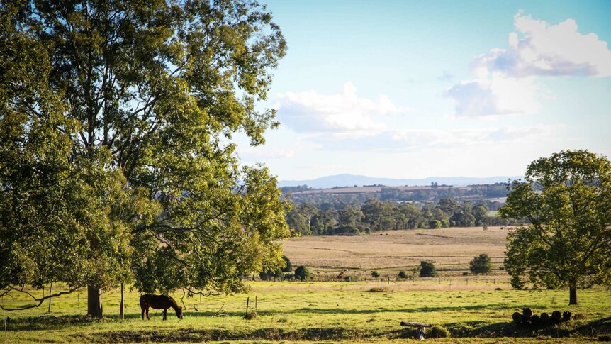 A landscape shot of the Kingaroy region in Queensland.