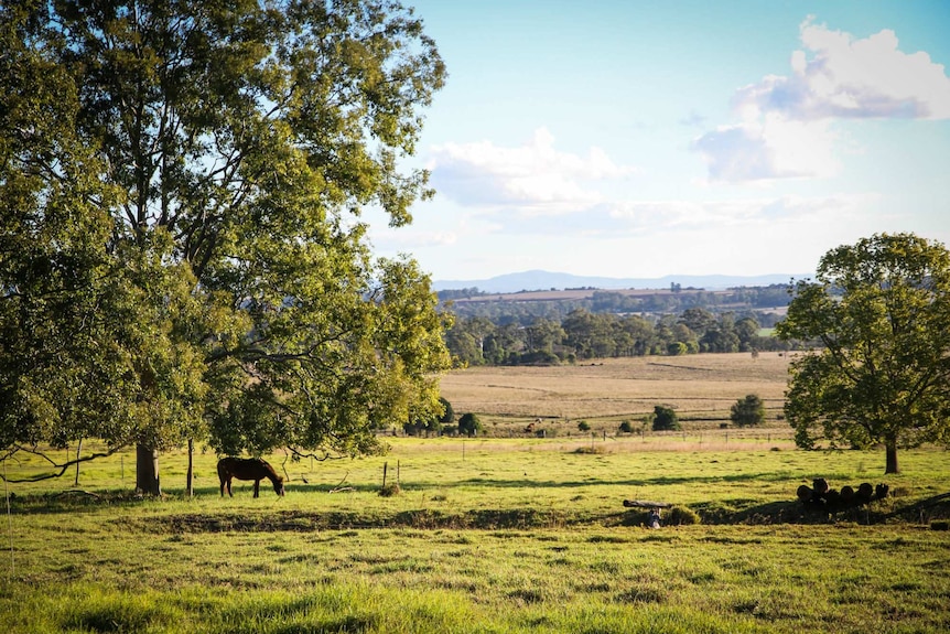 A landscape shot of the Kingaroy region in Queensland.