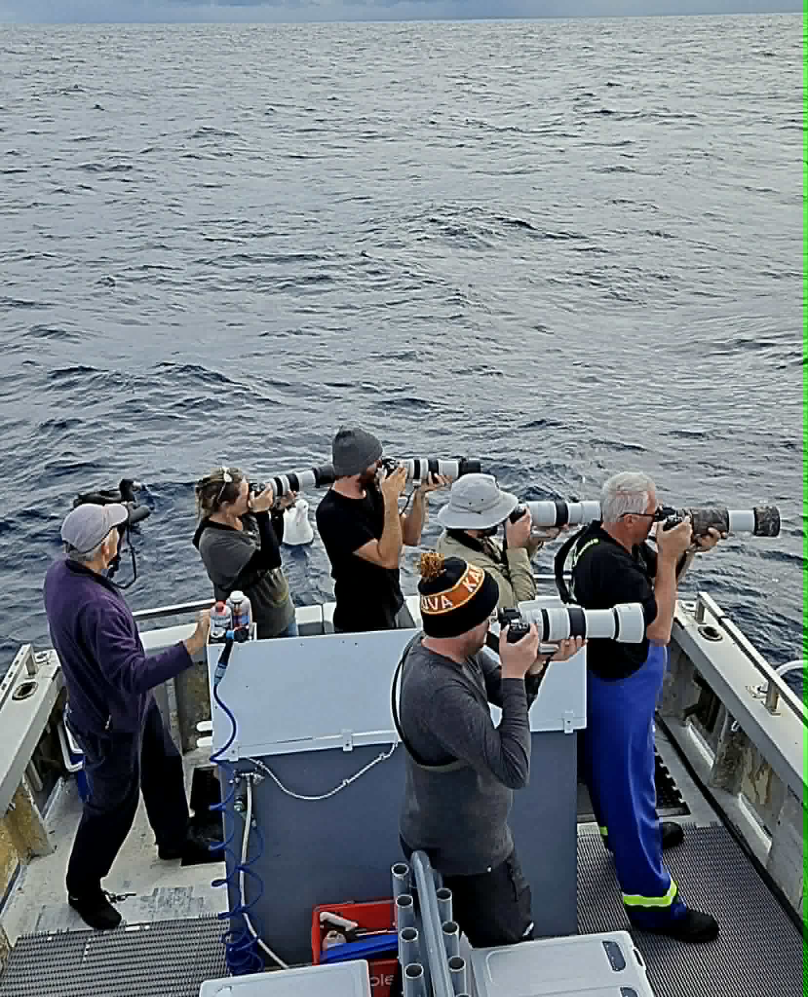 A group of birdwatchers on a boat with cameras with zoom lenses, looking out to sea.