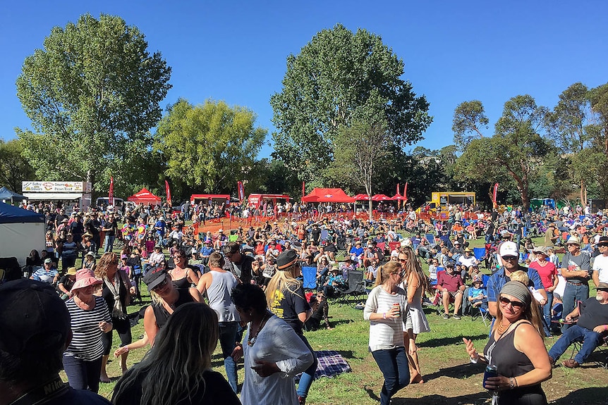 Festival-goers dancing on the grass.