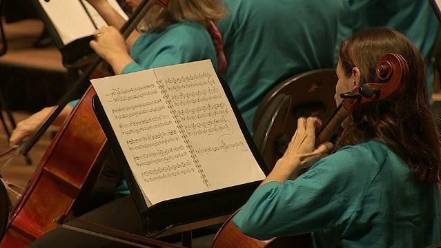 Female musician plays chello in orchestra while reading music from book