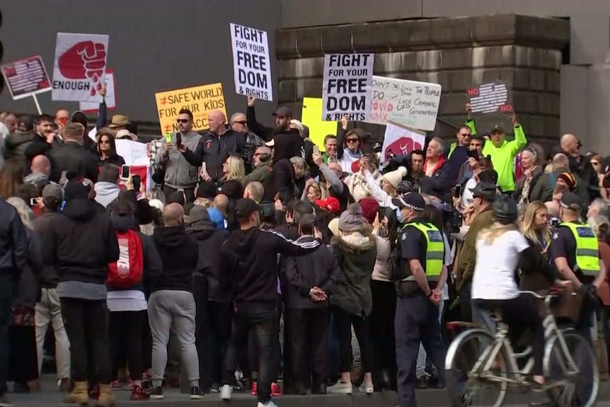 About 100 protesters with signs crowd together on the steps of Parliament.