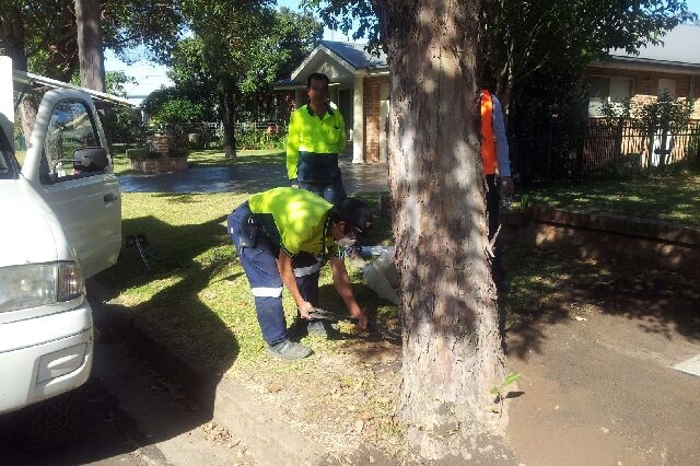Workman prepare a pit for the rollout of the NBN.