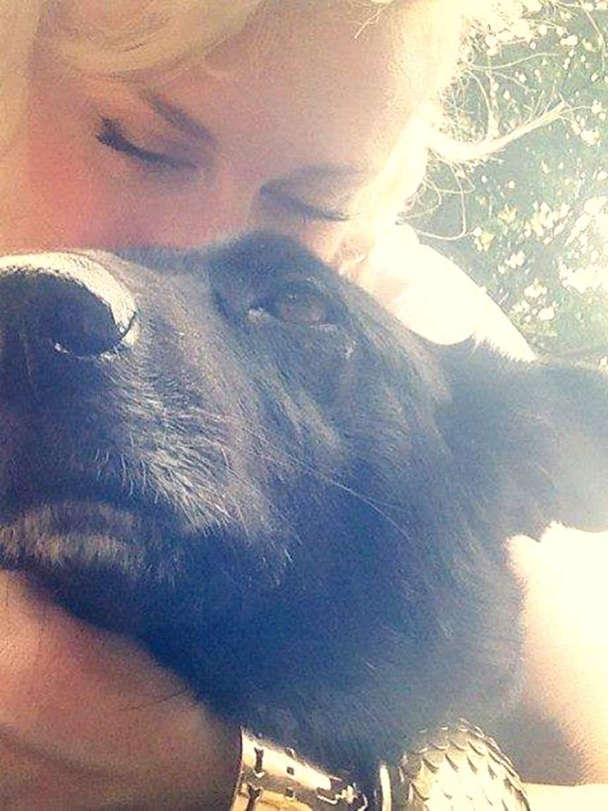 Jet (pet dog) and Michelle (owner) take a selfie to depict the love between a pet and owner.