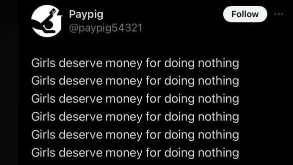 a tweet that says "girls deserve money for doing nothing"