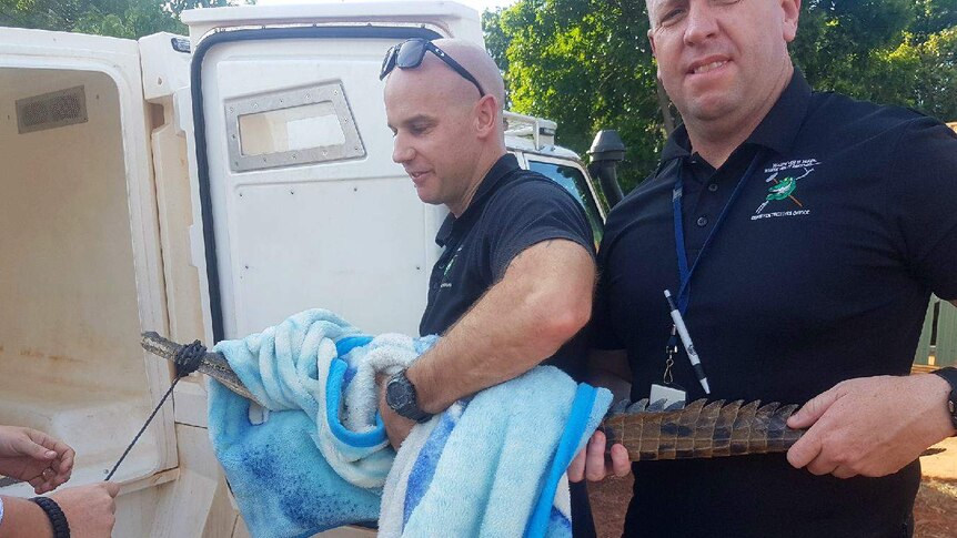 Derby Police grab the little croc