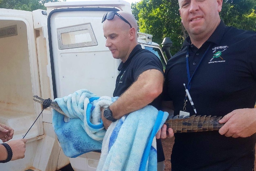 Derby Police grab the little croc