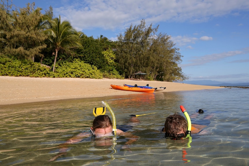 A couple snorkeling on Low Island off the coast of Port Douglas in far north Queensland.