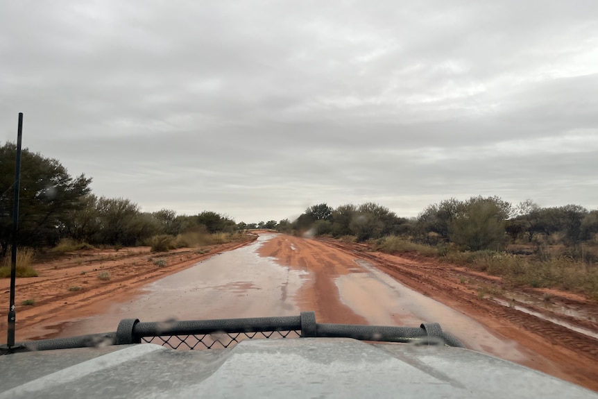 Wet outback road, red soil, photo taken from inside a four-wheel drive, bonnet in view, trees on the side of the muddy road.