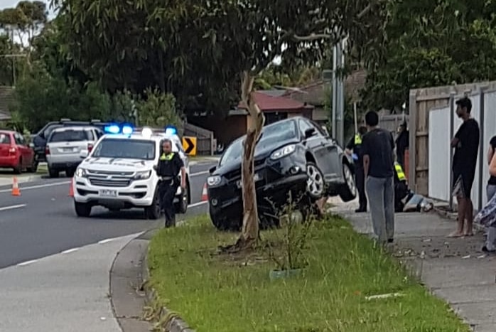 A black car sits tilted to the side behind a tree on the footpath surrounded by police and the public.