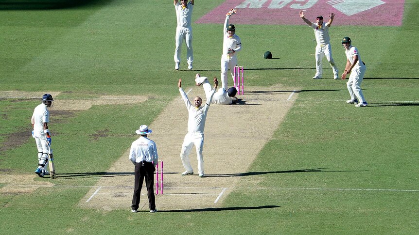 Nathan Lyon appeals for a wicket at the SCG