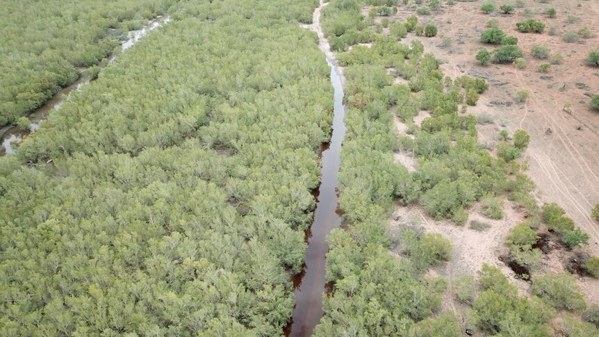 Aerial shot of rivulets of water through scrubland.