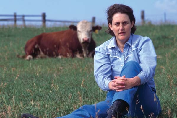 Temple Grandin is a leading expert in humane animal slaughter
