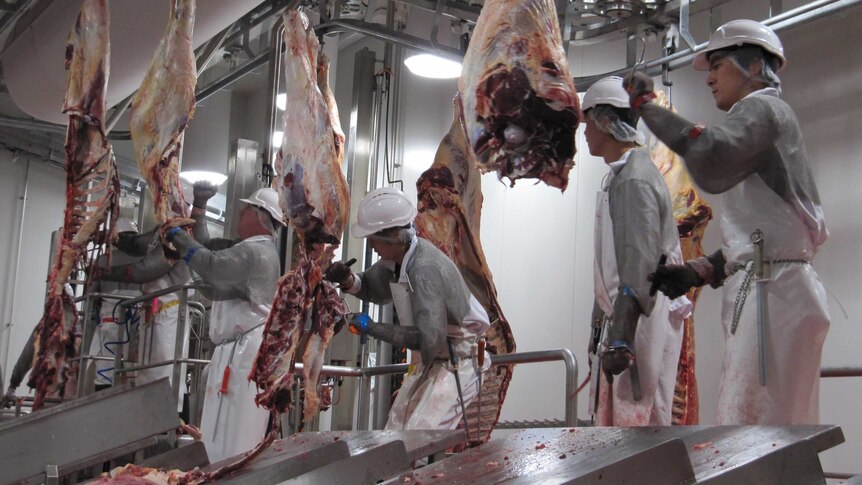 Les abattoirs et les exportations sont des « dommages collatéraux » alors que les inspecteurs des viandes et les vétérinaires font grève sur les salaires de la fonction publique