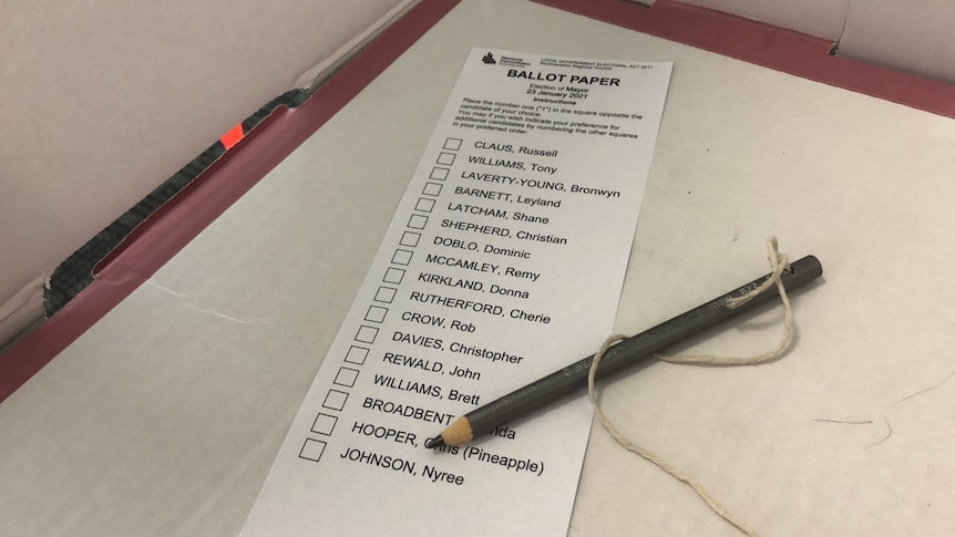 A ballot paper with the 17 candidates listed, with a pencil. It is on the cardboard polling station.