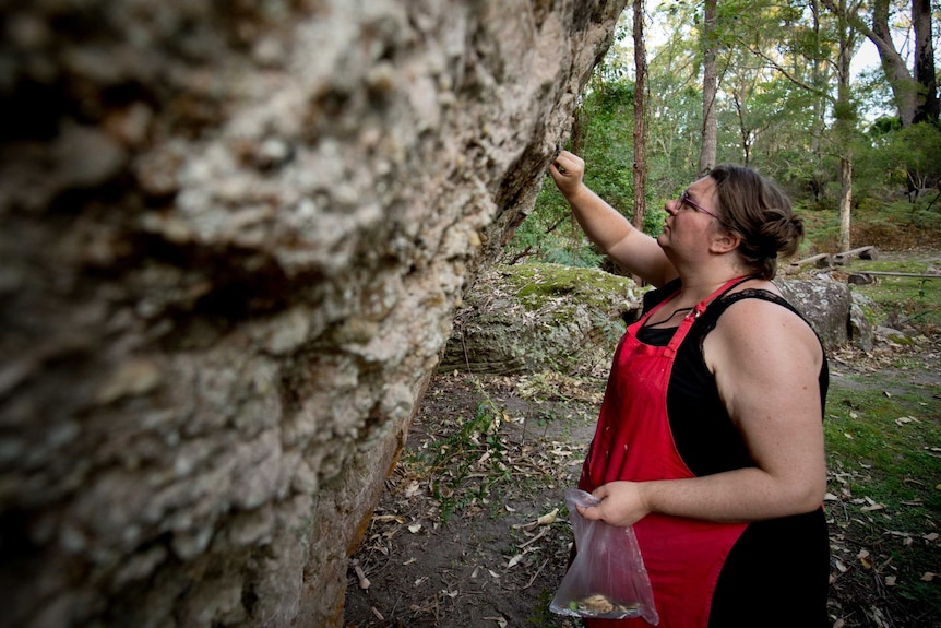 A woman searching for algae