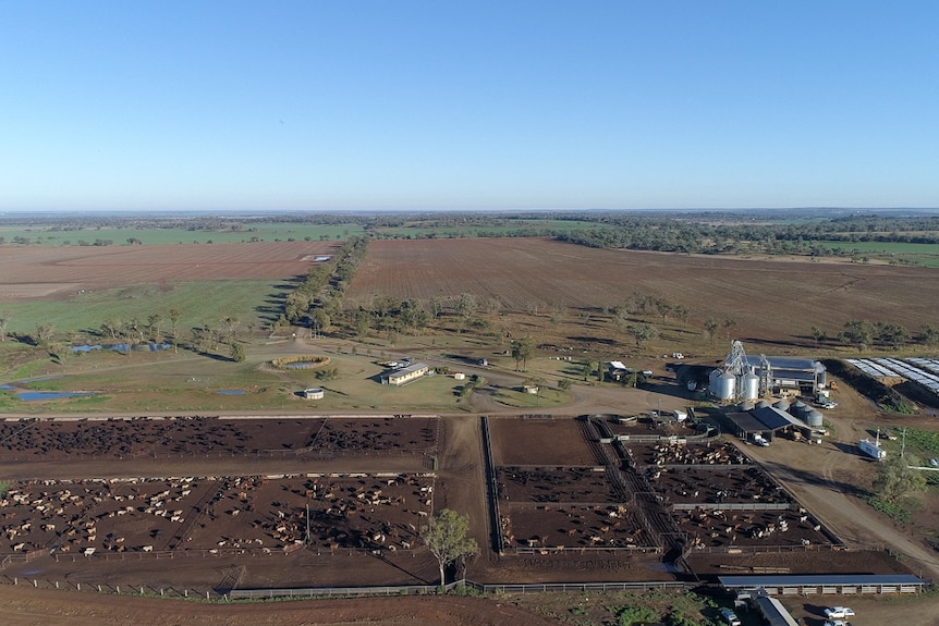 Aerial photo of the Wonga Plains Feedlot, with cattle in pens near Dalby, Queensland, July 2020.