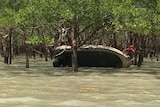 The boat is pictured on its side, near mangroves. A man clings to a tree.