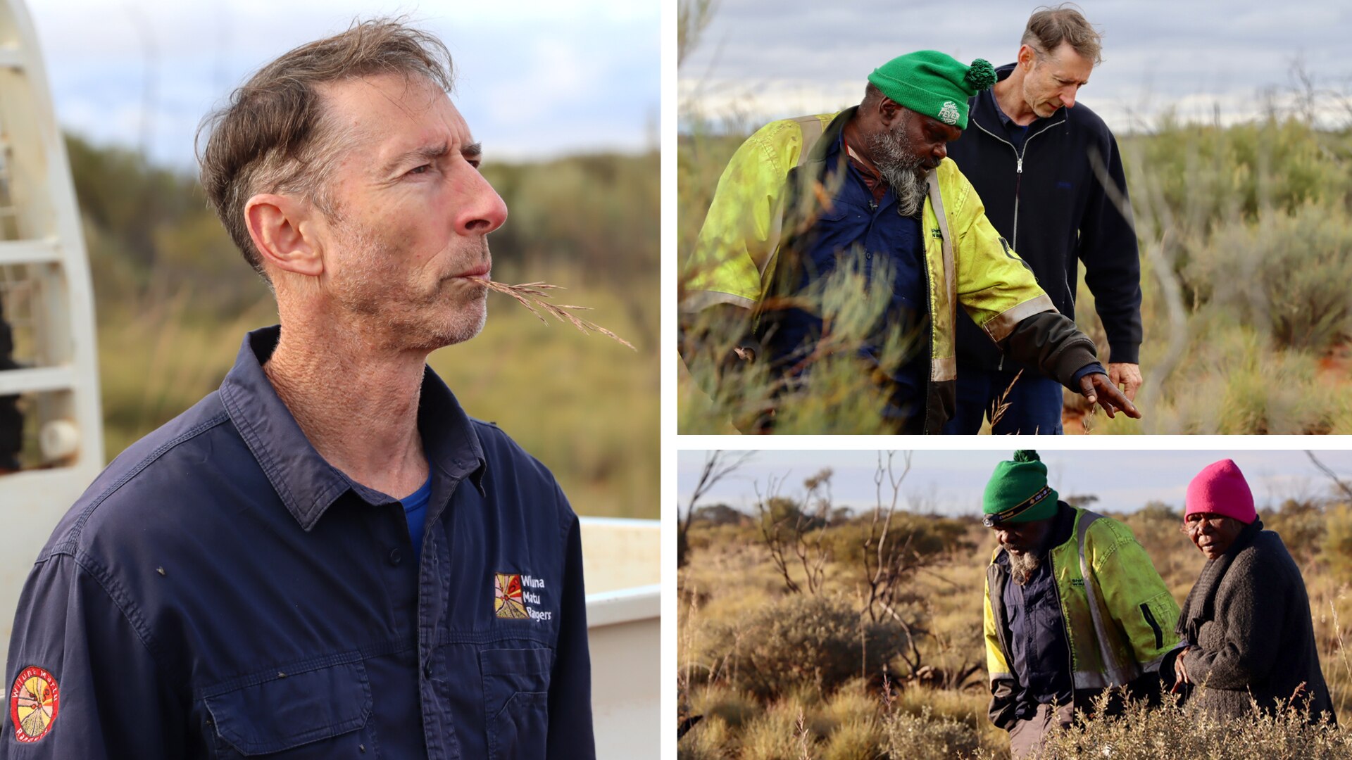 Image of Indigenous rangers and support staff at work tracking the mulgara.