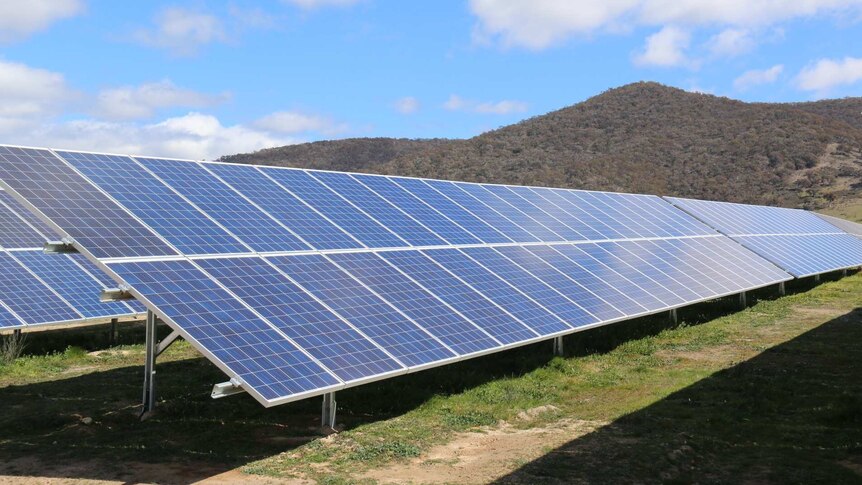 Solar panels at the Royalla solar farm south of Canberra.
