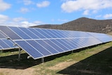 Solar panels at the Royalla solar farm south of Canberra.