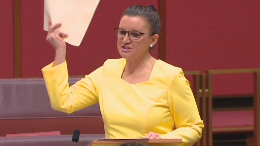 Jacqui Lambie makes her maiden speech in the Senate
