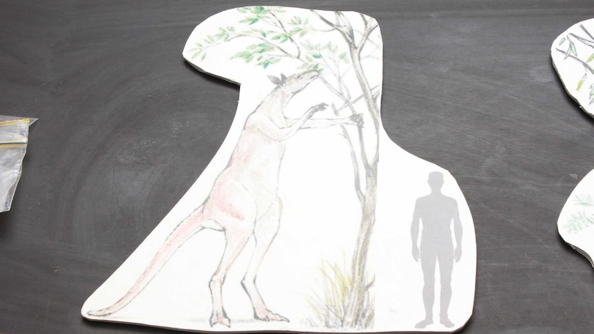 Drawing of a huge kangaroo next to a tree