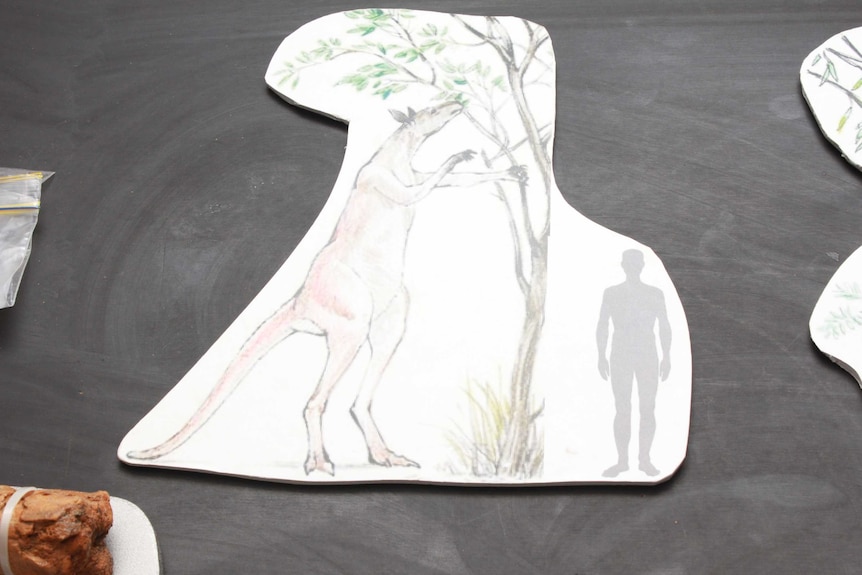 Drawing of a huge kangaroo next to a tree