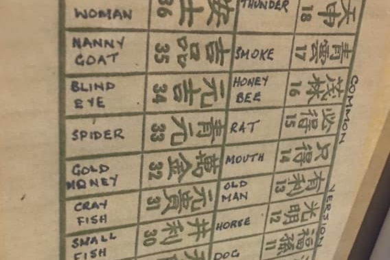 Numbers and words such as "nanny goat", "blind eye" and "spider" on a grid.
