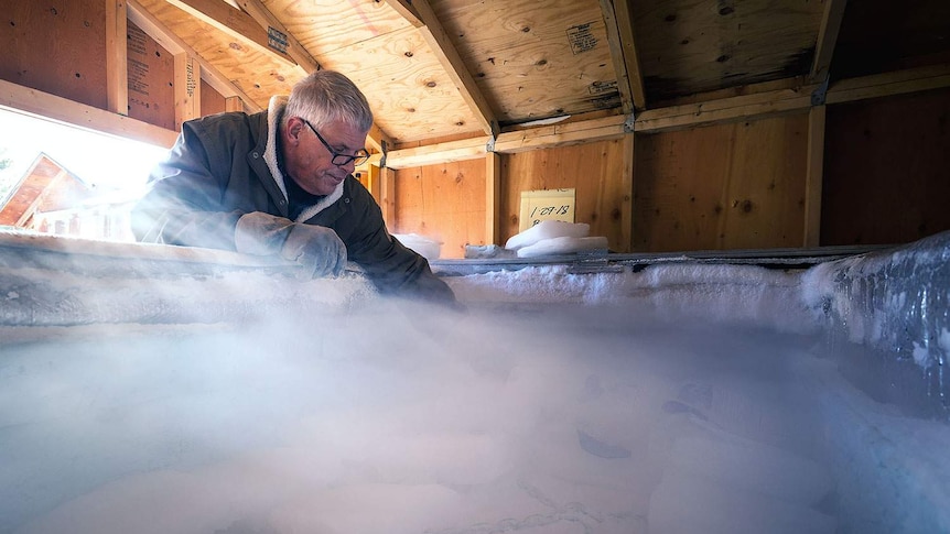A man reaches into a big container full of ice, in a wooden shed.