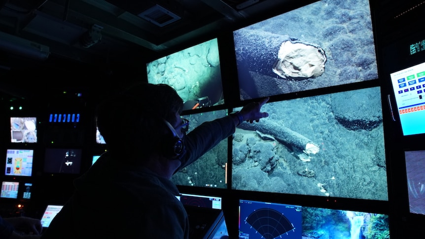 People point to an underwater mammoth tusk projected on a TV screen. 