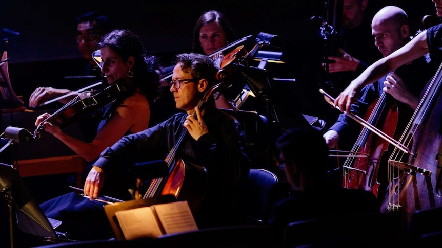 A cellist plays in an orchestra pit