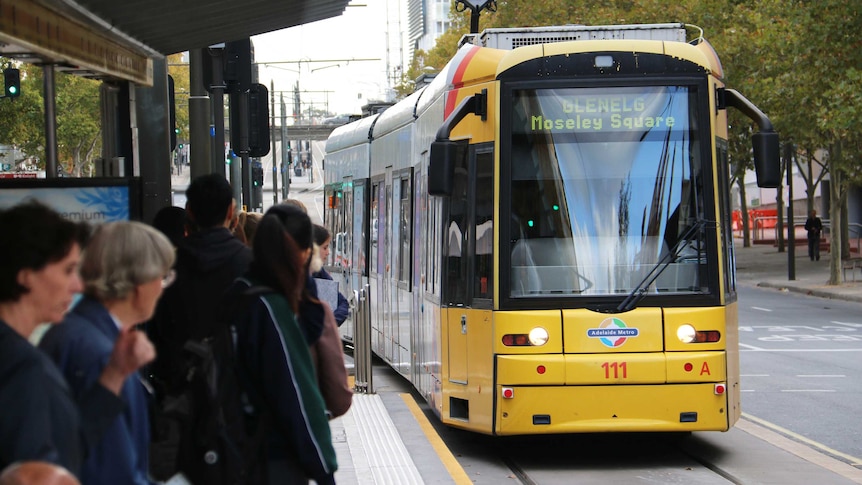 Adelaide tram on North Terrace