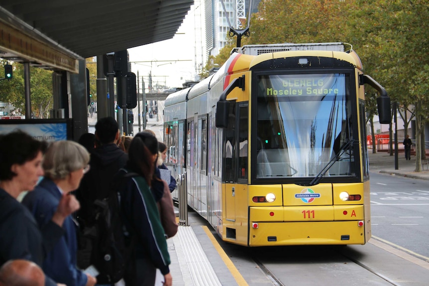 Adelaide tram on North Terrace