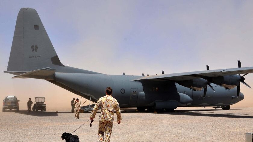 Sarbi and her handler head over to board a C-130 Hercules transport aircraft