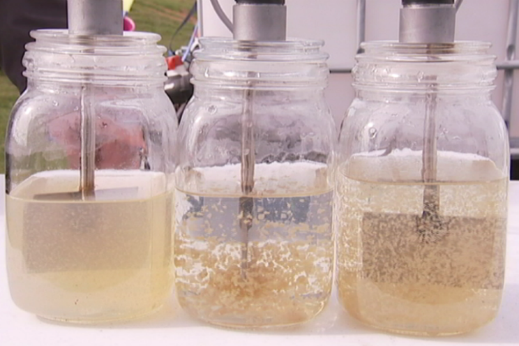 Three jars filled with dirty dam water and particles.