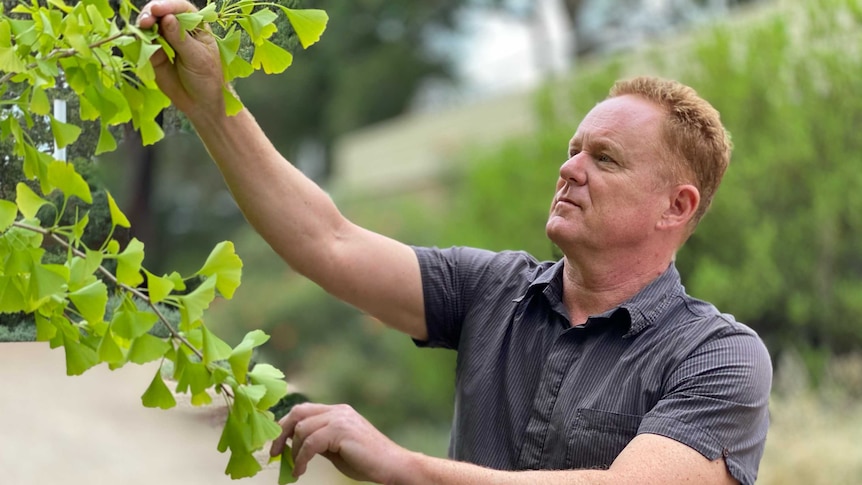 Chris Williams examines a plant.