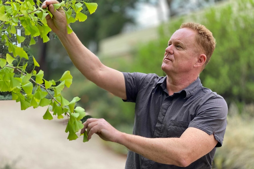 Chris Williams examines a plant.