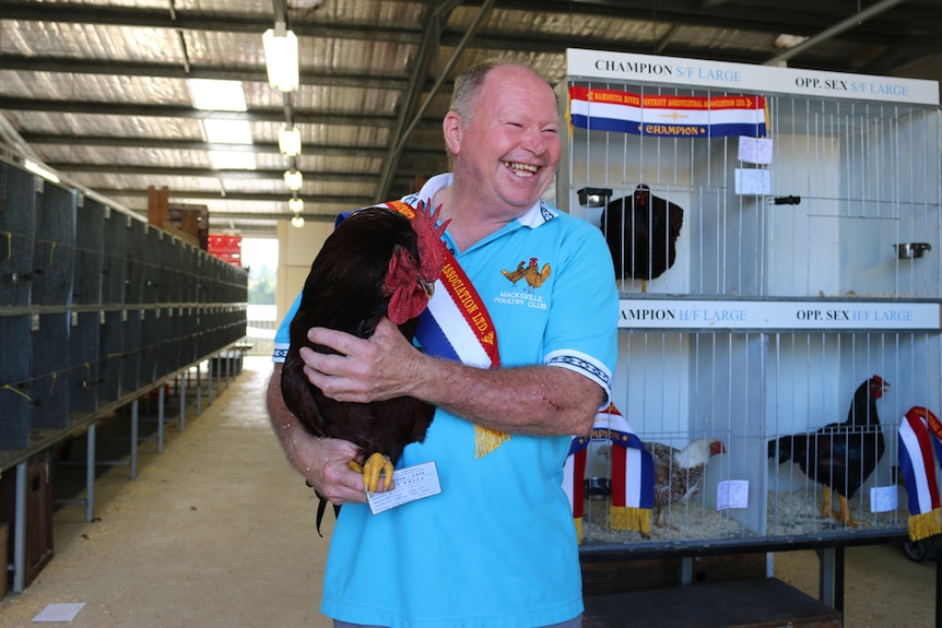 A man draped with a red, white and blue champion show ribbon laughs while holding a large dark red rooster in a poultry pavilion