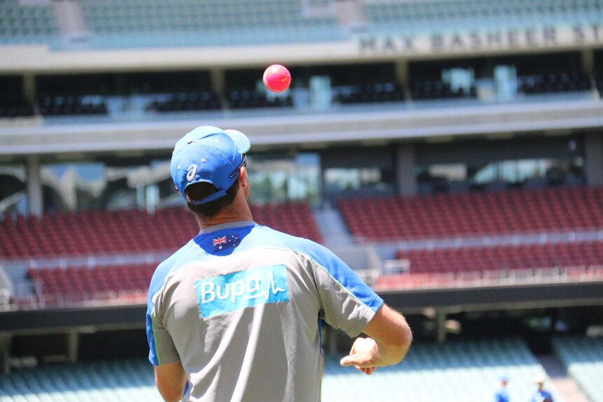 Greg Blewett with a pink cricket ball at Australia's training session at Adelaide Oval
