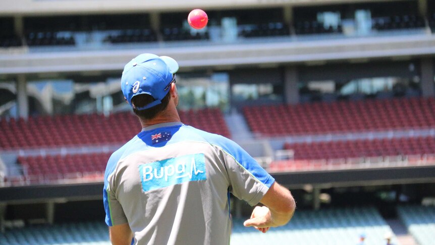 Greg Blewett with a pink cricket ball at Australia's training session at Adelaide Oval.