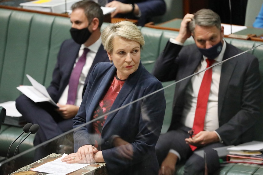 Tanya Plibersek looks to the left while speaking in Question Time