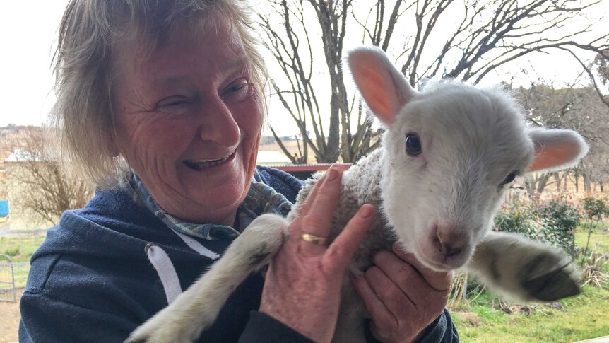 A smiling woman holds a pet lamb