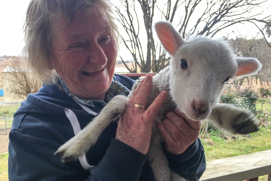 A smiling woman holds a pet lamb