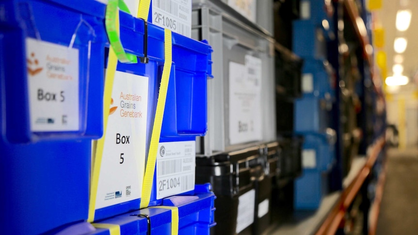 A box containing Australian seeds sits on the shelves of the Global Seed Vault.