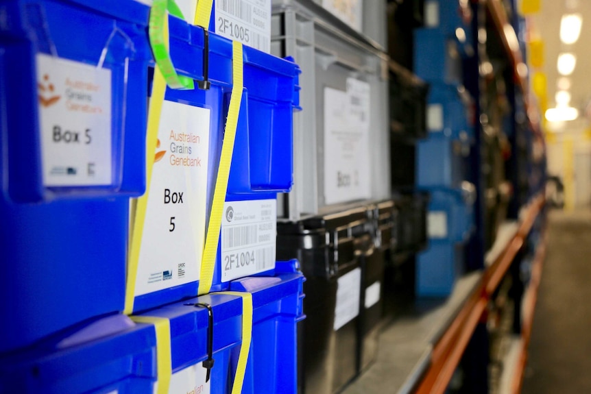 A box containing Australian seeds sits on the shelves of the Global Seed Vault.
