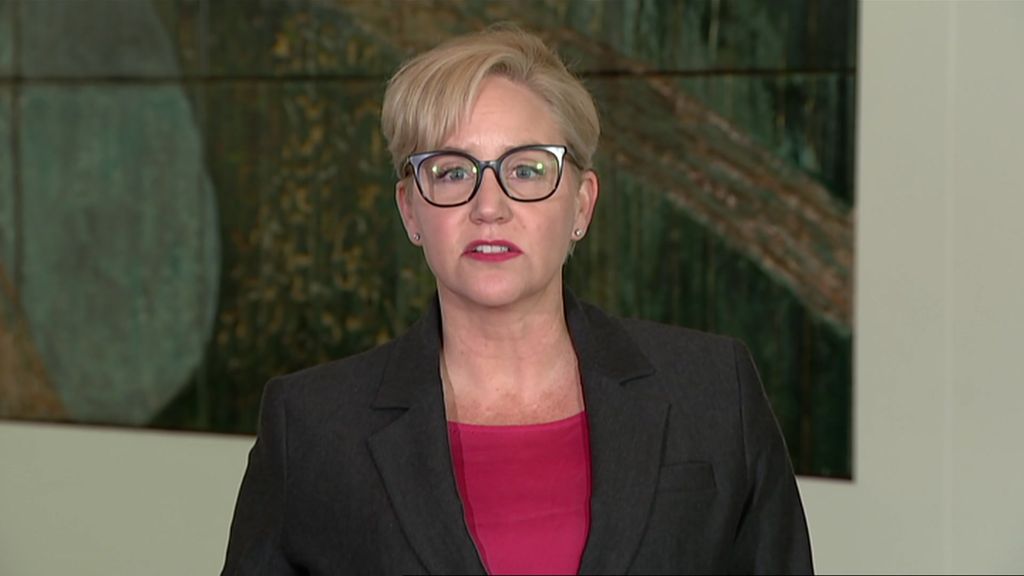 Nicole Rose confirms AUSTRAC reaches deal with Westpac - ABC News