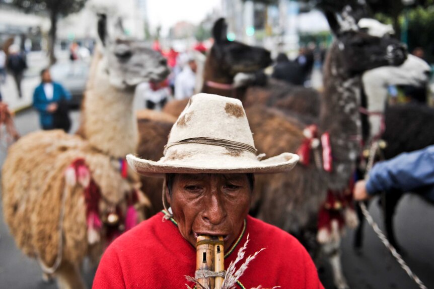 Andean man playing flute