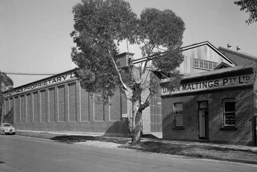 Union Maltings Proprietary building on Palmerston Street in 1954.